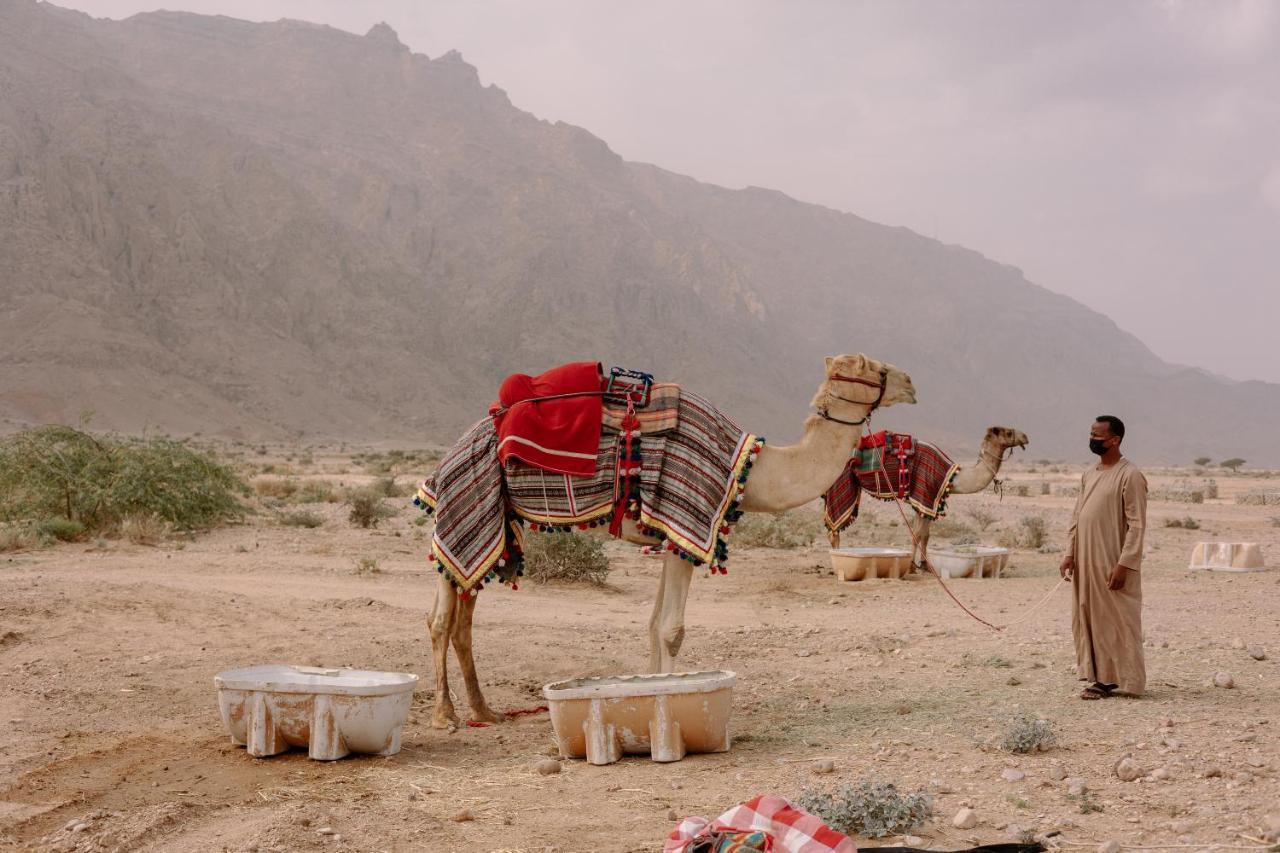 Pura Eco Retreat, Jebel Hafit Desert Park خيمة فخمة *
